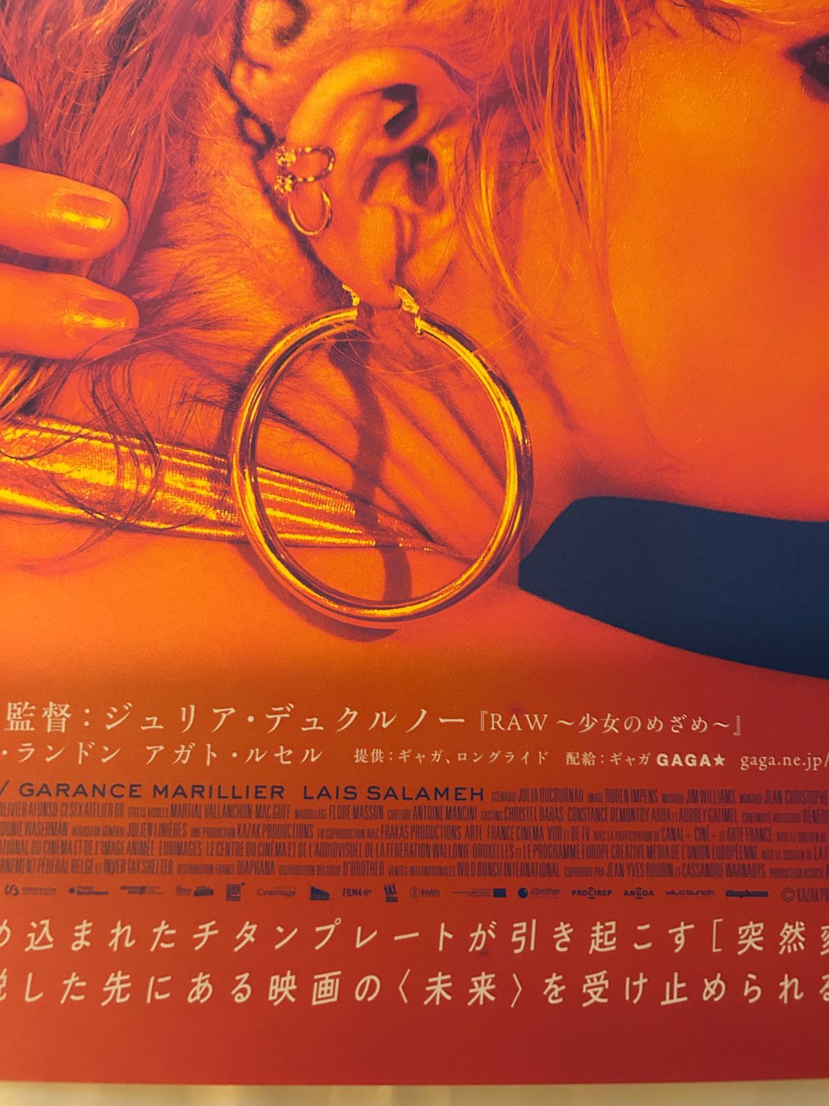 TITANE チタン / 2022年 劇場公開・プロモーション用ポスター B2