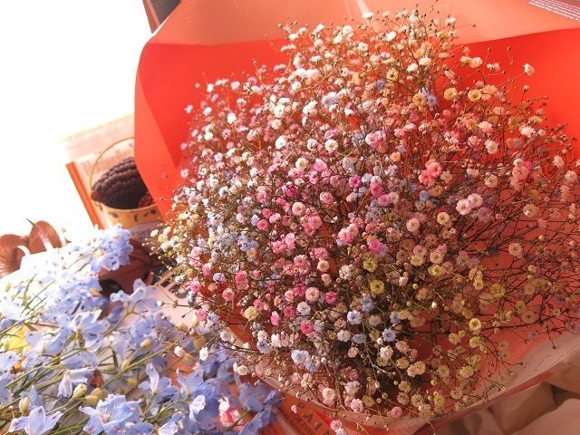 誕生日プレゼント 花束 かすみ草 カスミソウ 花言葉「幸福」「感謝」かすみ草入り 染め カラフルかすみ草 生花使用  ブーケ 生花 ◆カラフルに染めたかすみ草のみを使ったブーケ風花束 記念日 彼女 奥さん 花 プレゼント