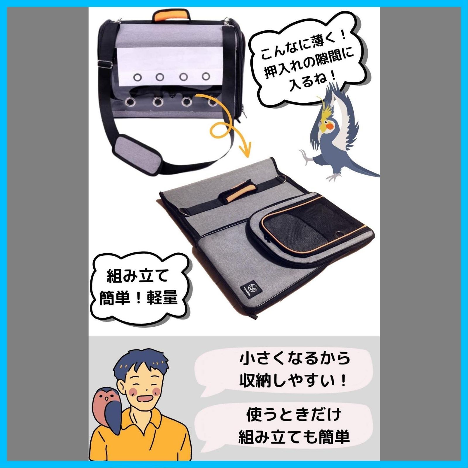 鳥