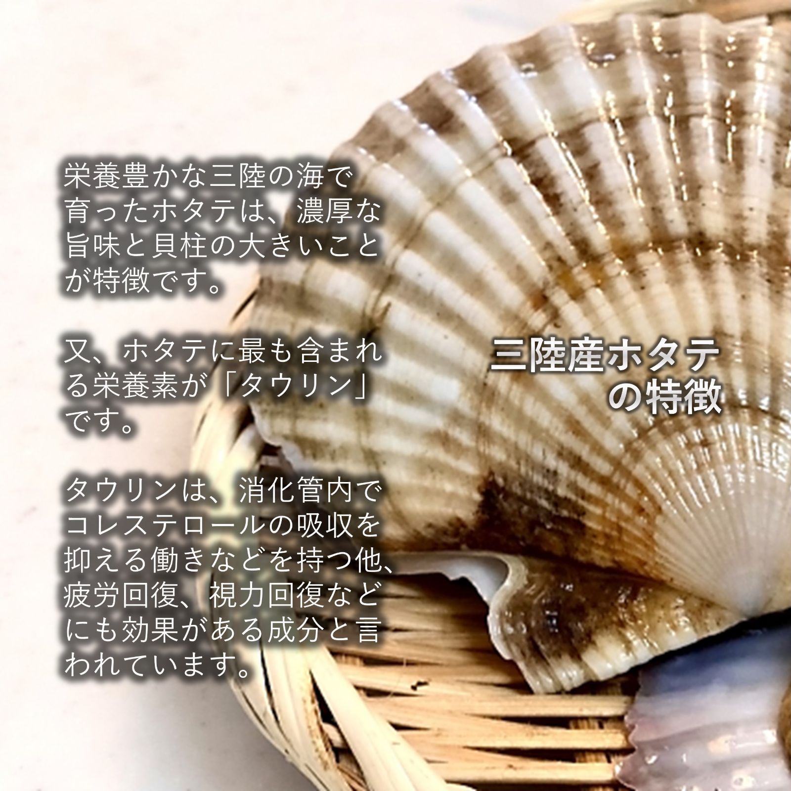 三陸産 ホタテ＆牡蠣セット 殻付きホタテ10枚 殻付き牡蠣2kg 三陸の肉厚ホタテと身入りの良い牡蠣 BBQにも最適！冷凍で旨味を閉じ込め日持ちも抜群！