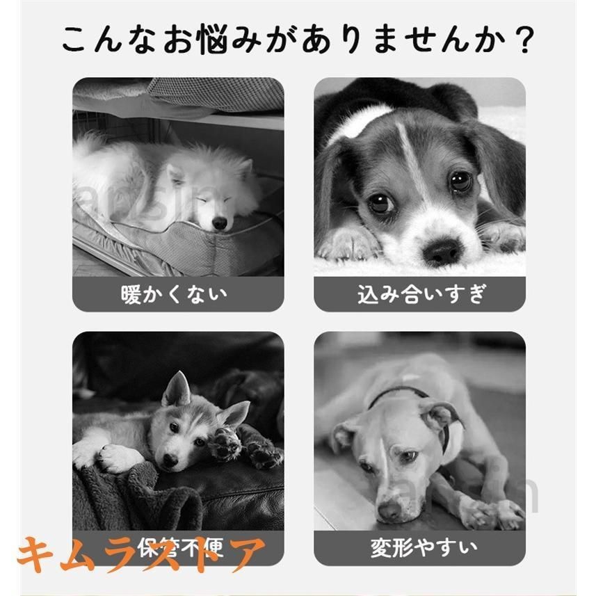 中型犬