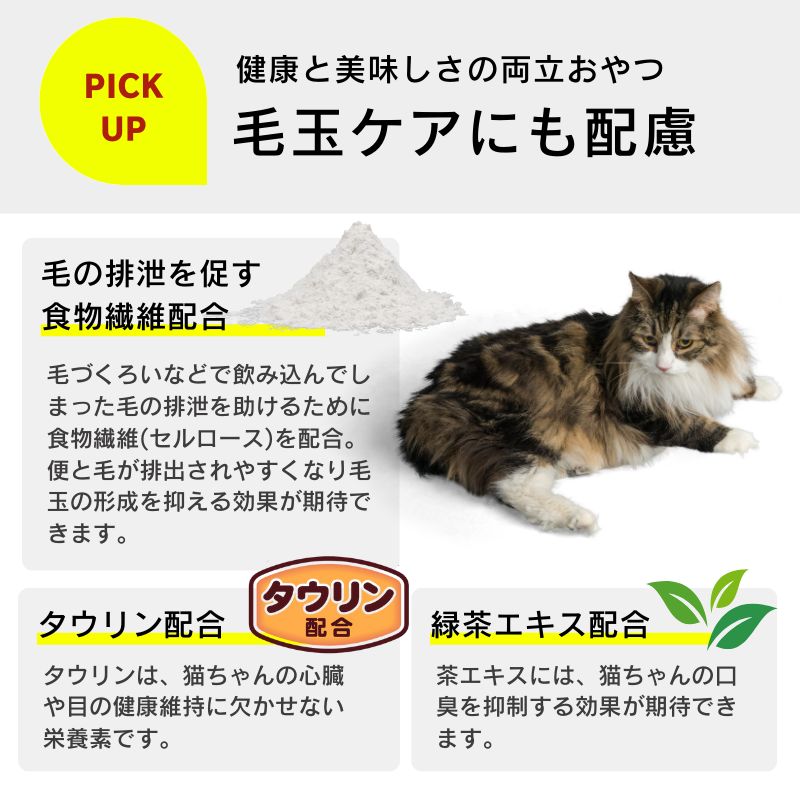 子猫 高齢猫