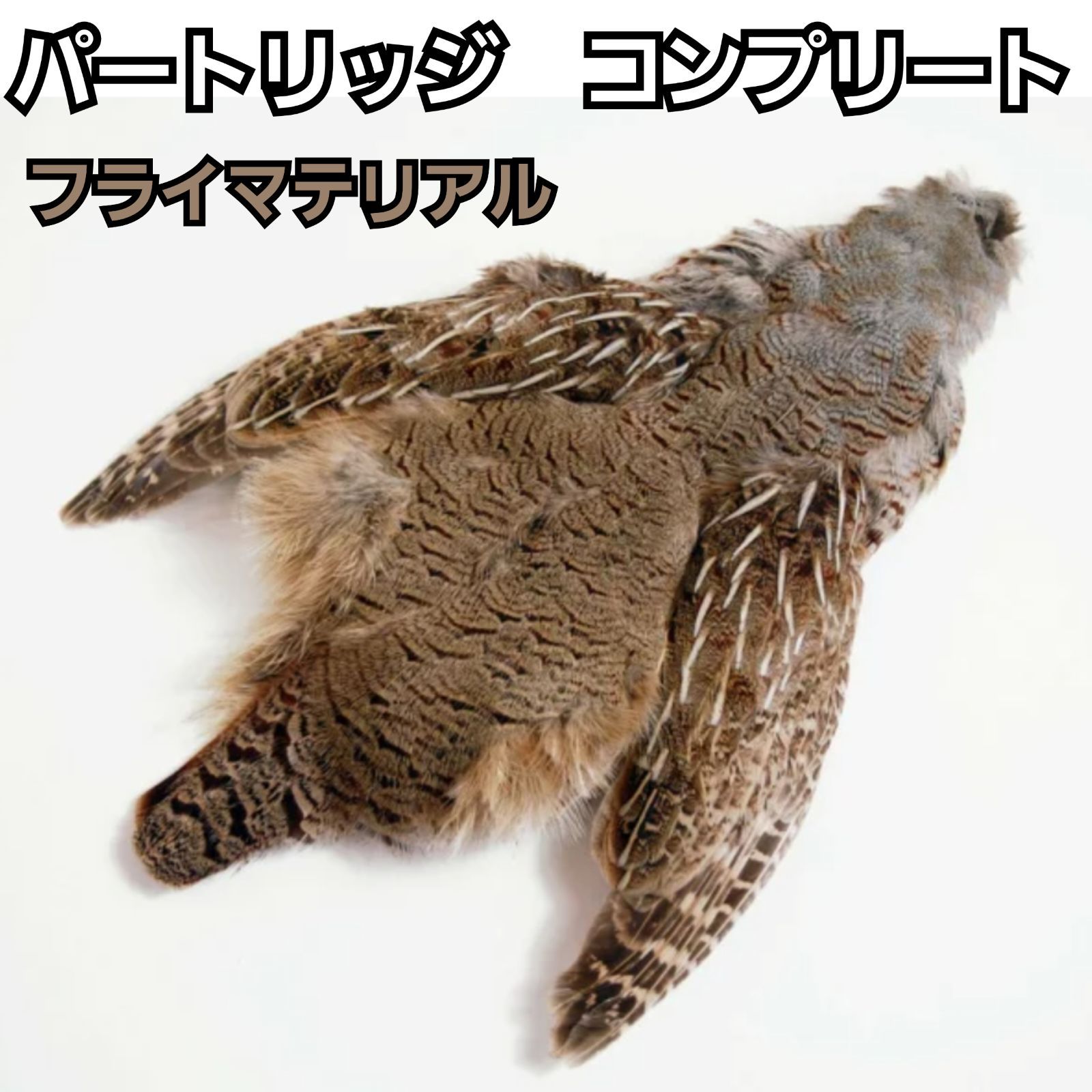 高品質 パートリッジ コンプリート フライマテリアル 羽根 フェザー ソフトハックル パターンや ウェット フライのスロート ハックルなどに