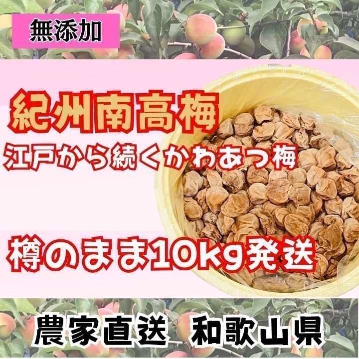 10kg 農家直送 紀州南高梅 樽 つぶれ梅 かわあつ梅 無添加
