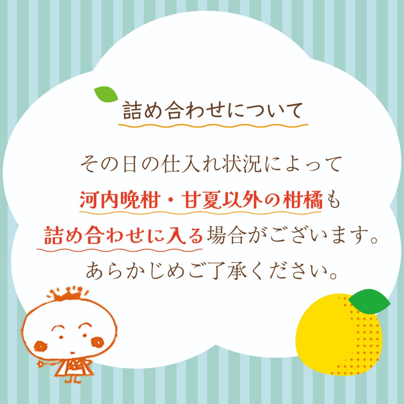 【超お買い得】河内晩柑・甘夏詰め合わせ10kg補償有-4
