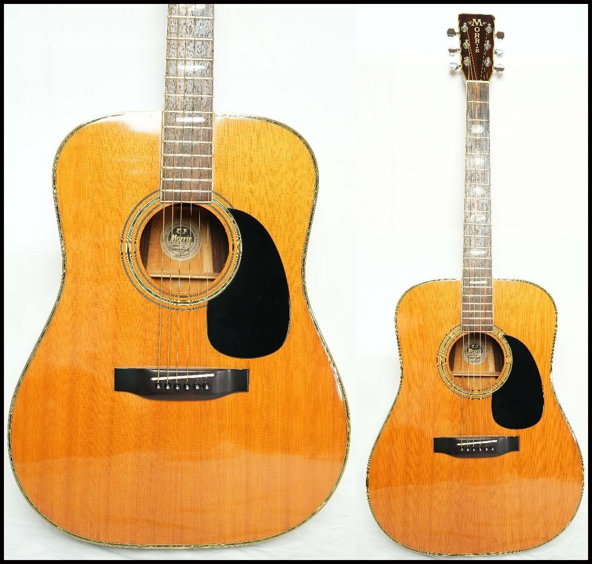 TF MORRIS W-50 Natural 80年代 国産ヴィンテージ モーリス