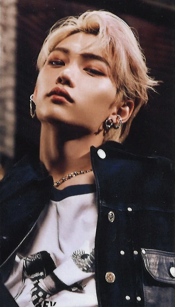 Felix - ALL IN Album PC photocard photocard