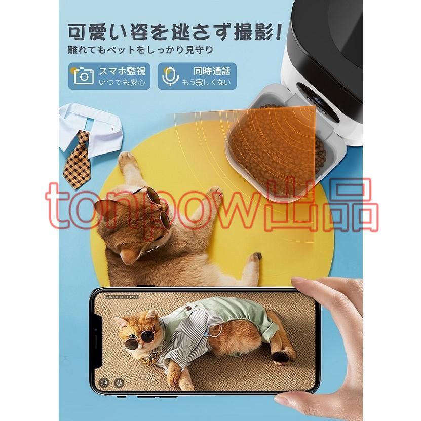 猫 ペット