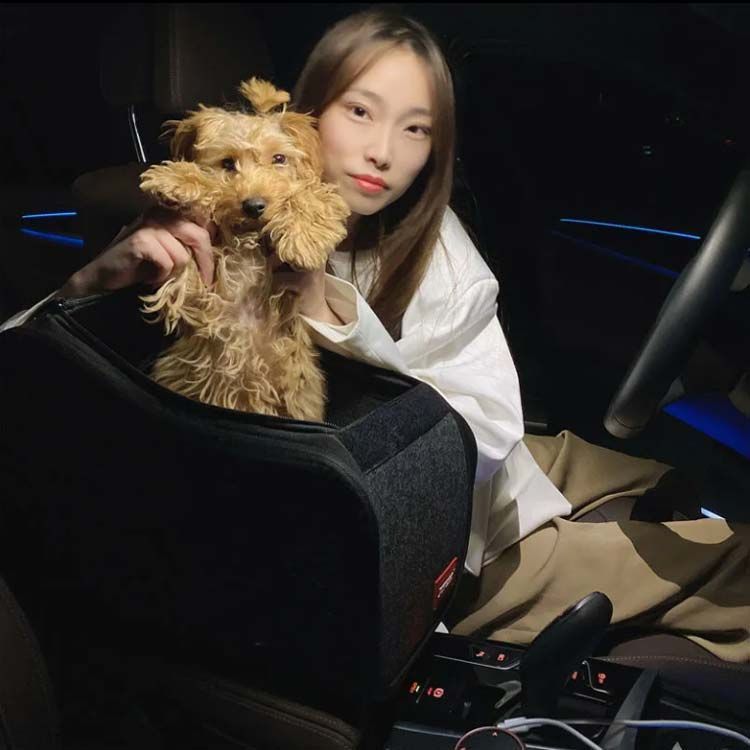 犬用 猫用