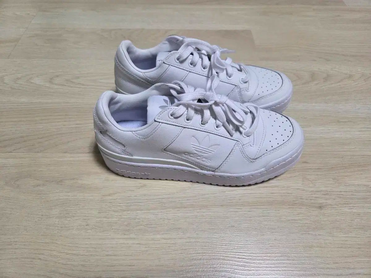 フォーラム ボールド