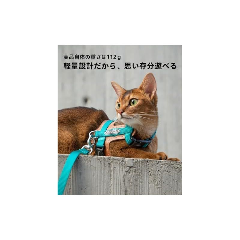 ねこりーさん Amazon | 猫 ハーネス 抜けない リード 散歩用 お出かけ ベスト