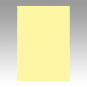 クーポン配布中-スーパー 対象 まとめ 色画用紙 文運堂 ニューカラーＲ ライトイエロー 8NCR-134 4954022681340 1冊 ×10セット