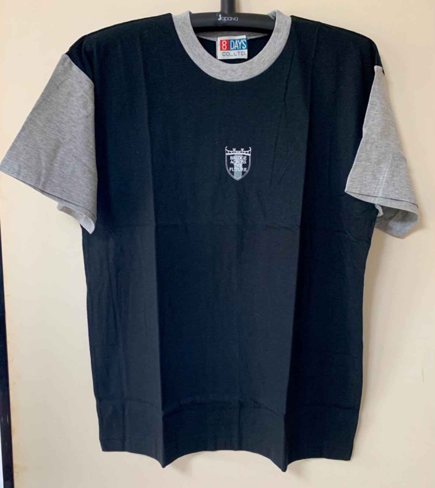 THE ALFEE BRIDGE ACROSS THE FUTURE 切替 Tシャツ - メルカリ