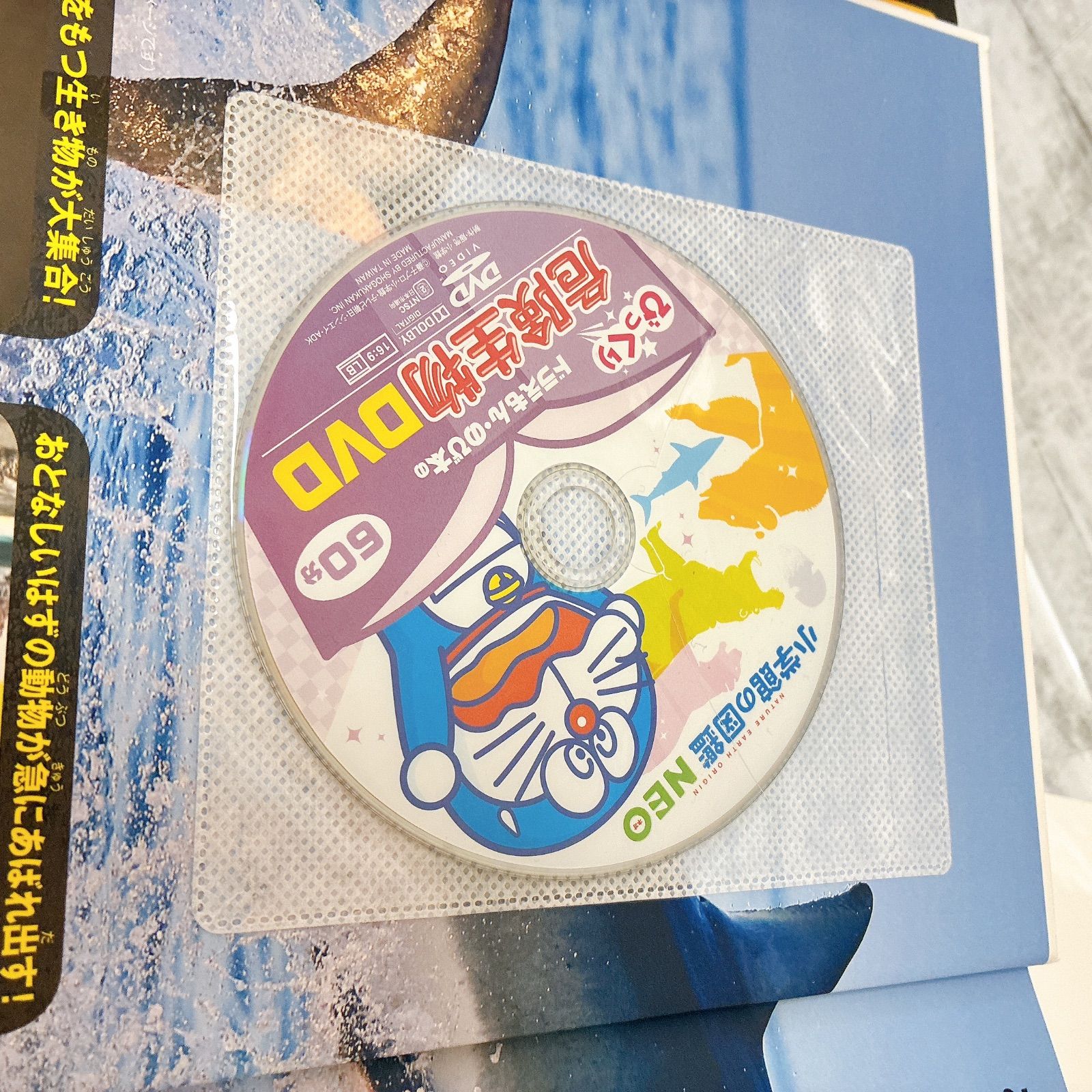  小学館の図鑑NEO 11冊セット DVD付き 絵本 児童書 本