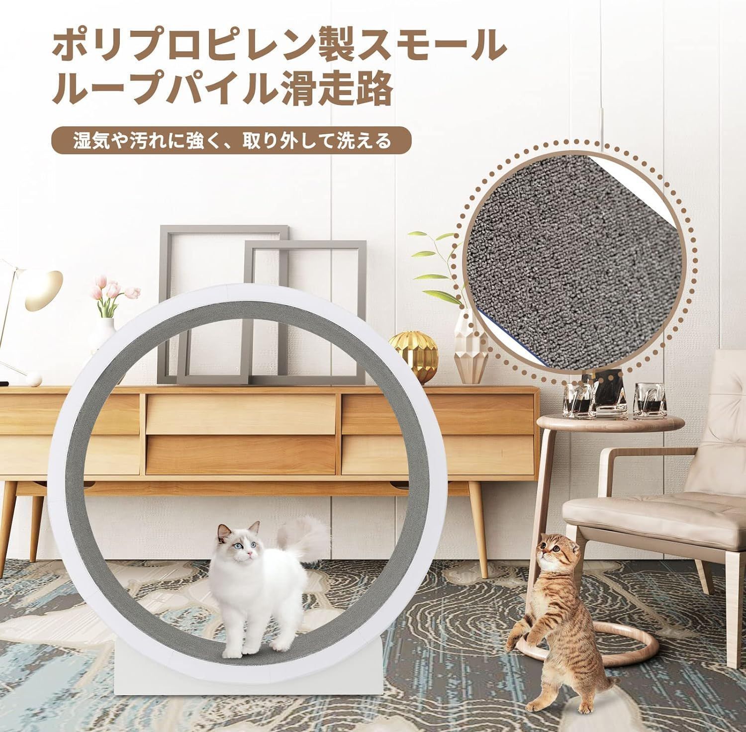 キャットウォーク