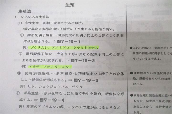 駿台 生物H Part2 テキスト 2014 前期 橋本大樹 ☆ 025S0C - メルカリ