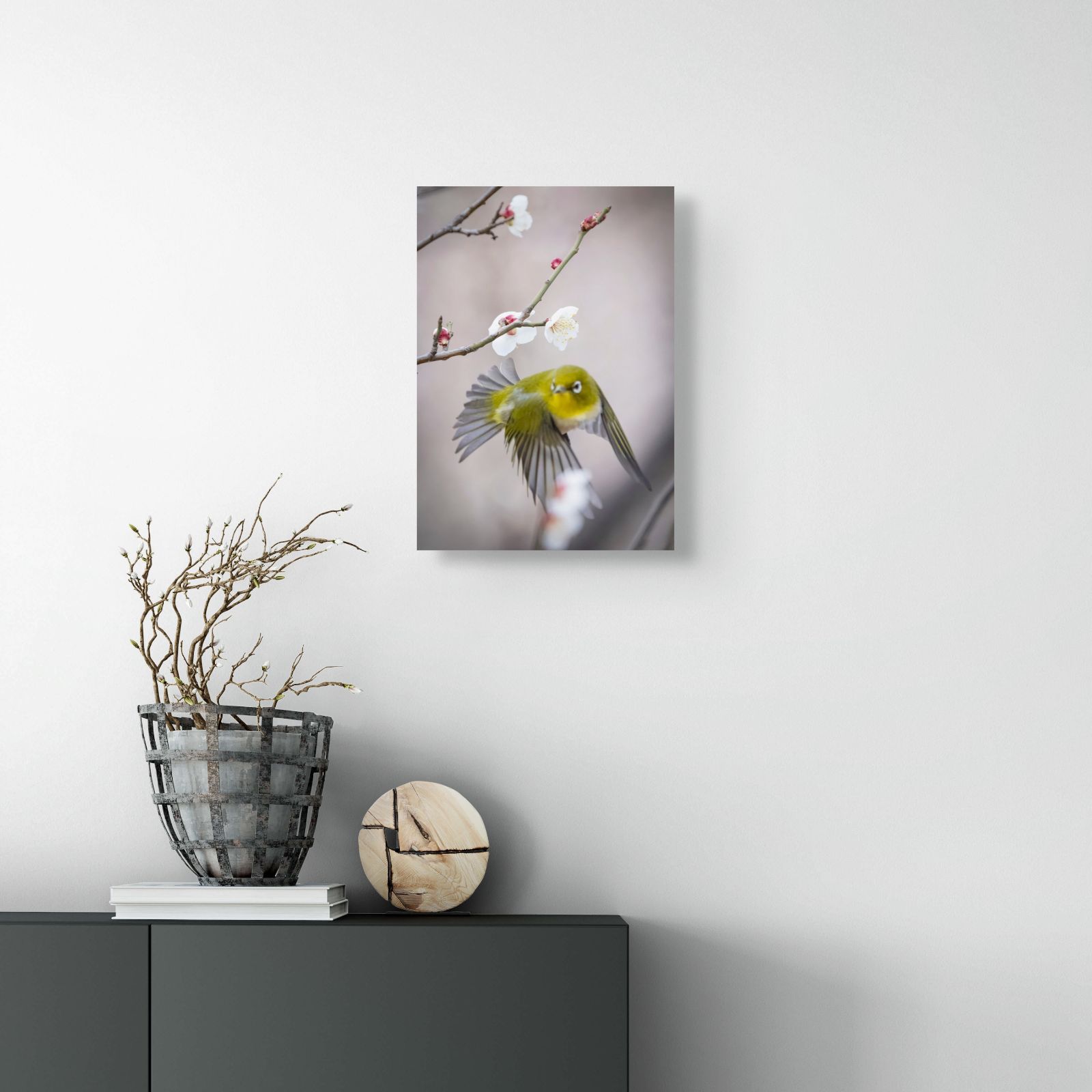 メジロと梅花の舞｜中村年孝 アクリルフォト作品