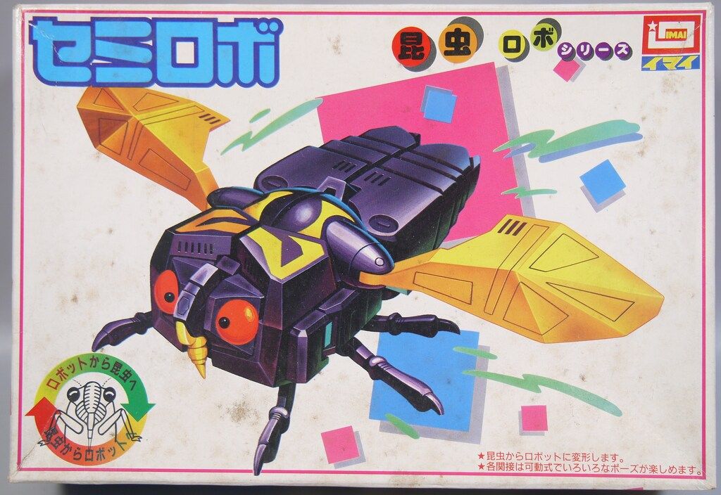 2024年8.2生まれ⭐️ドルステニアギガス実生⭐️めちゃ元気！極上美苗