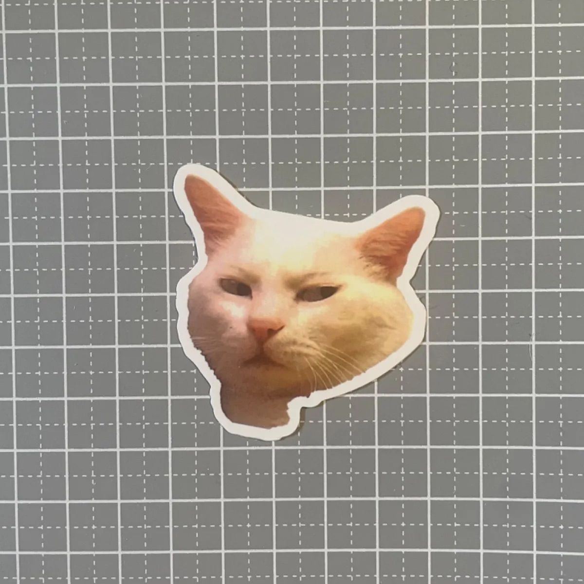 猫ミーム hq720.jpg?sqp=-