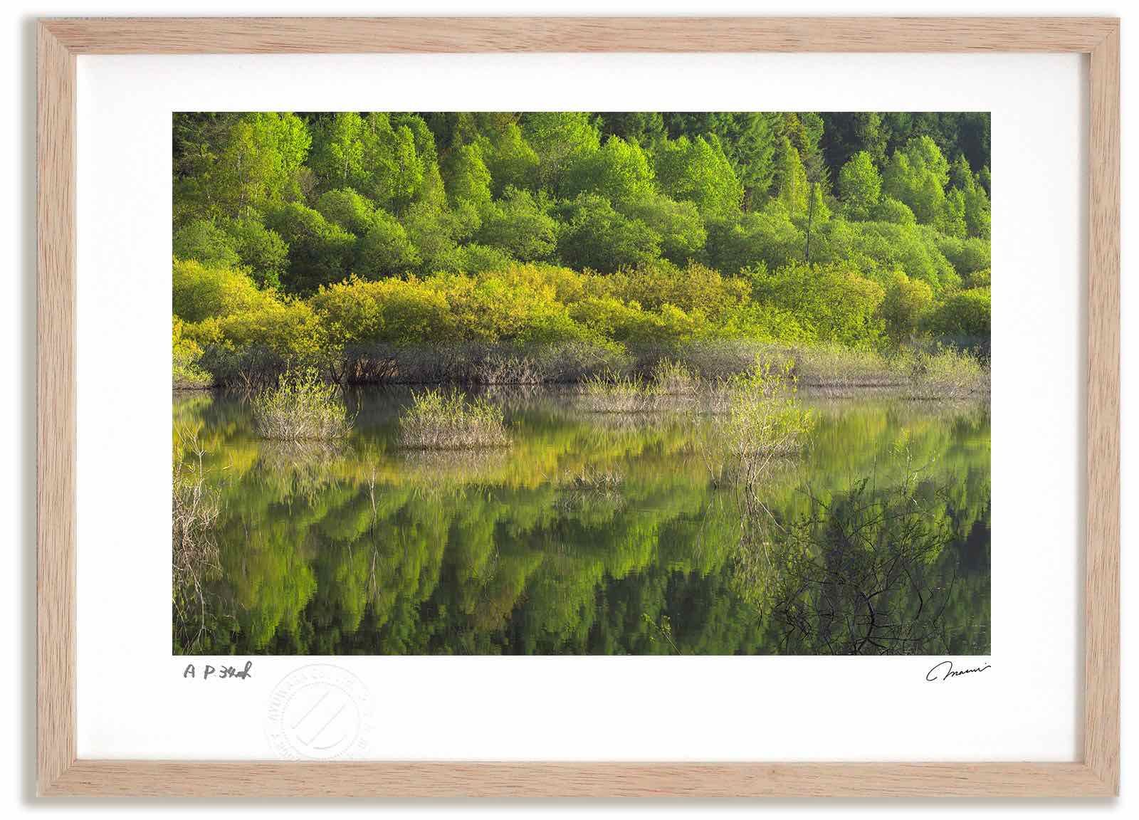 アートフォト 絵画 新緑の日新ダム8 高橋真澄/インテリア 額入り 額装込 風景画 油絵 ポスター アート アートパネル リビング 玄関 プレゼント モダン アートフレーム 飾る Mサイズ おしゃれ 