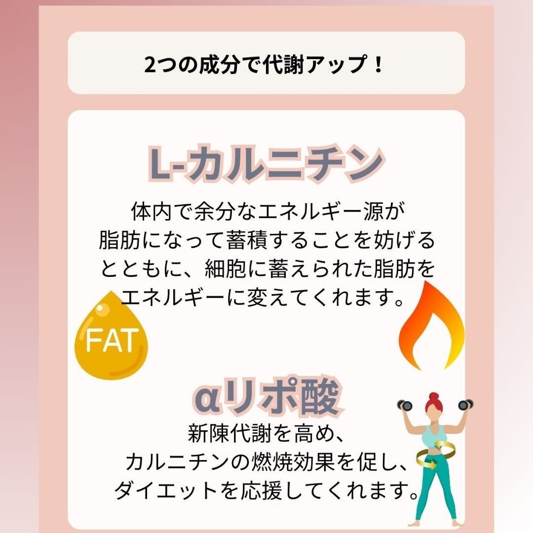 αリポ酸Ｌカルニチン アクティブダイエット 60粒(約1ヶ月分） (ダイエット サプリ 天然 美容食品)【ポイント消化】 通販 健康 プレゼント