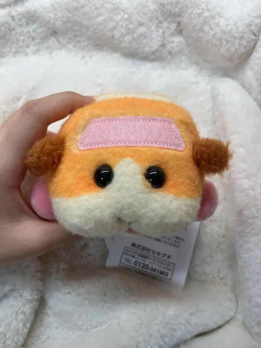 PUI PUI PUI PUI モルカー 人形-最終SALE