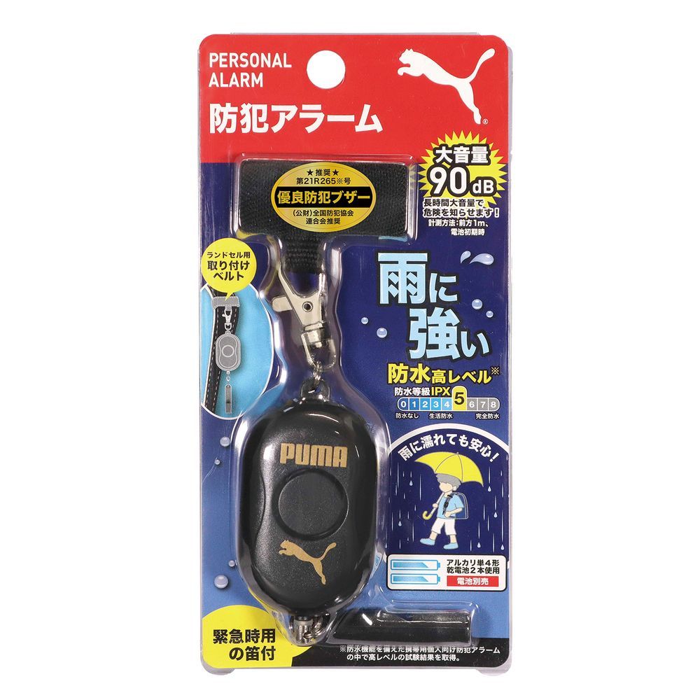 PM317BK