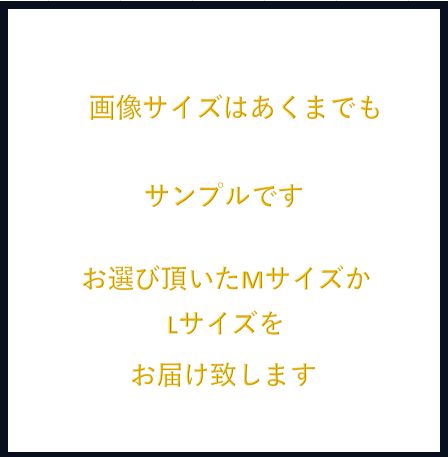 BVD　ビーブイディー　吸汗速乾ニットトランクス（前開きボタンあり）4枚SET　MかLお選び下さい！ thumbnail 3