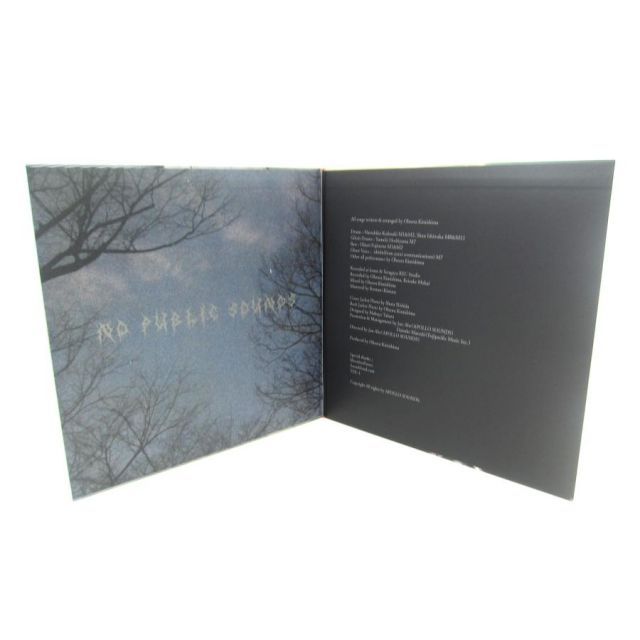 no public sounds 君島大空　レコード no public sounds (45回転/2枚組アナログレコード) : 君島大空