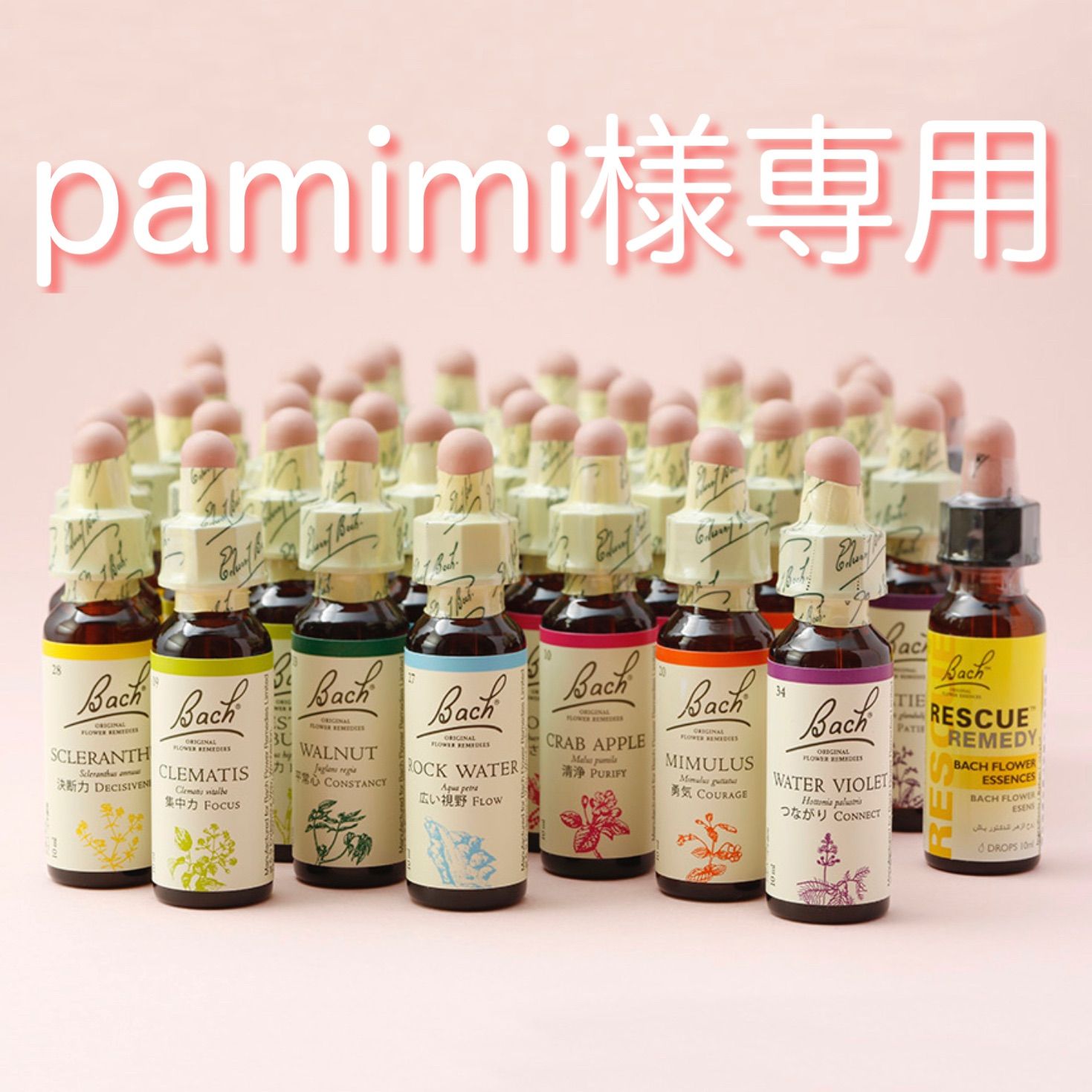 pamimi様専用カート ideiasoltec.com.br