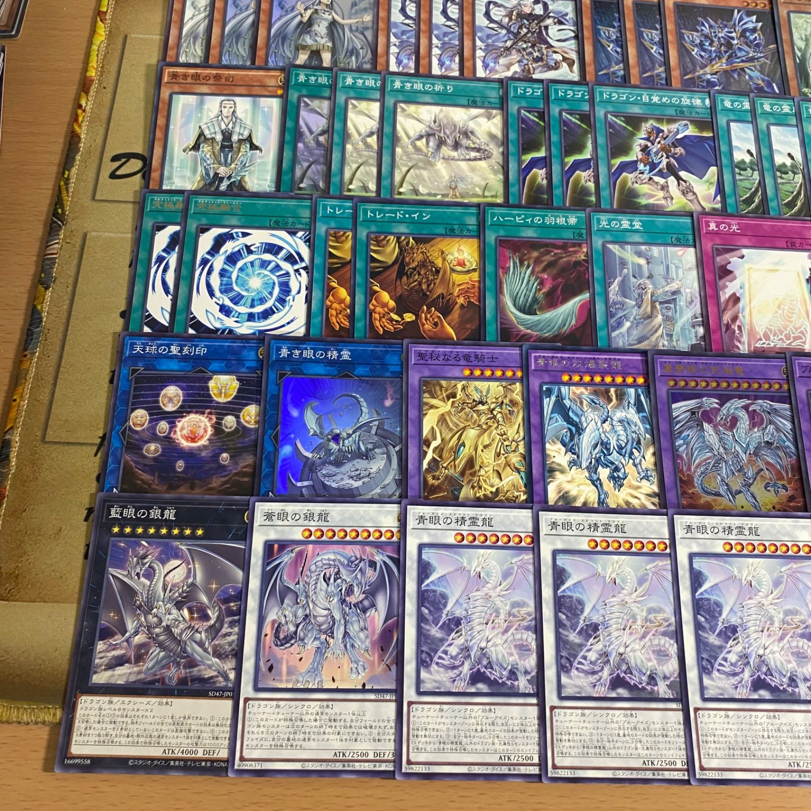 遊戯王 青眼の白龍 デッキ 本格構築 青眼の究極霊竜 白き乙女 青き眼の