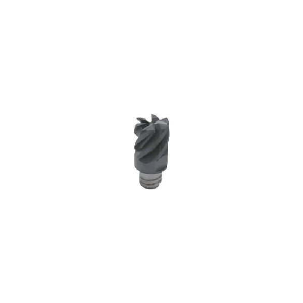 7営業日以内発送 イスカル MM EC160A12R1.0-8T10 IC908 2個入 マルチマスター加工ヘッド 8 10枚刃 ねじれ角30° 45° 50° IC908 MMEC160A12R1.08T10IC908 沖縄離島販売不可