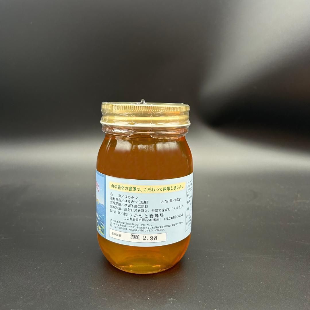 完熟 生蜂蜜　国産蜂蜜 純粋蜂蜜 無添加　非加熱　600グラム　6本 完熟 生蜂蜜国産蜂蜜 純粋蜂蜜 無添加非加熱600グラム6個