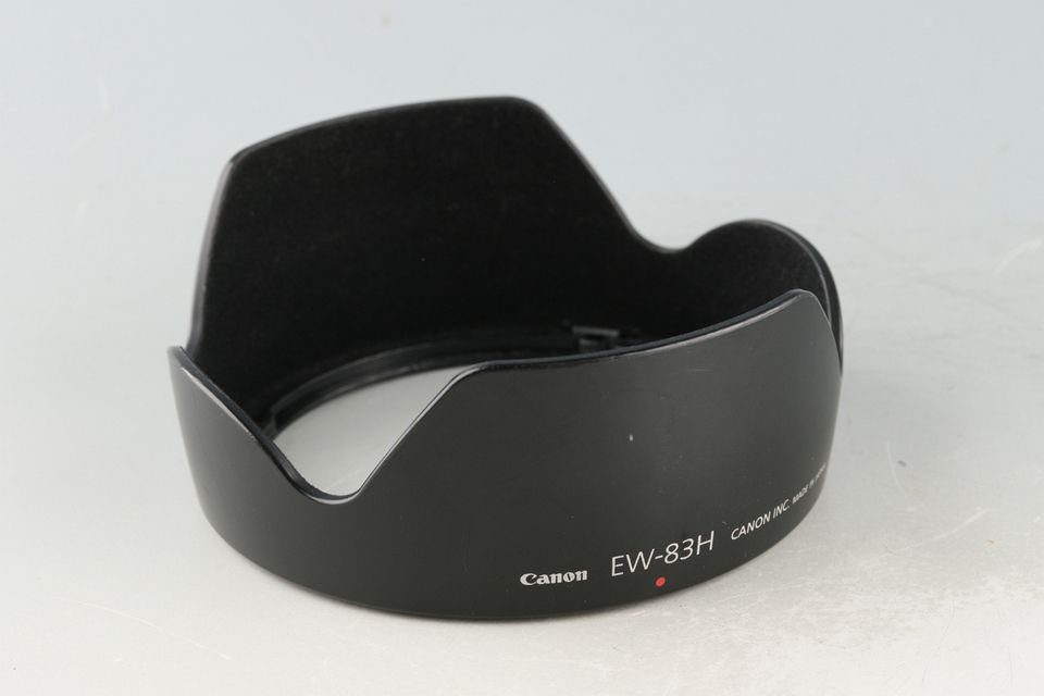 ジャンク品 Nikon AF-S 24-70mm f2.8G ED ジャンク