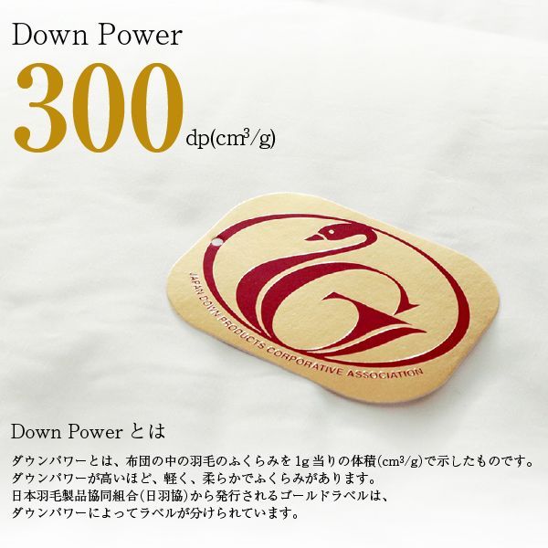60サテン