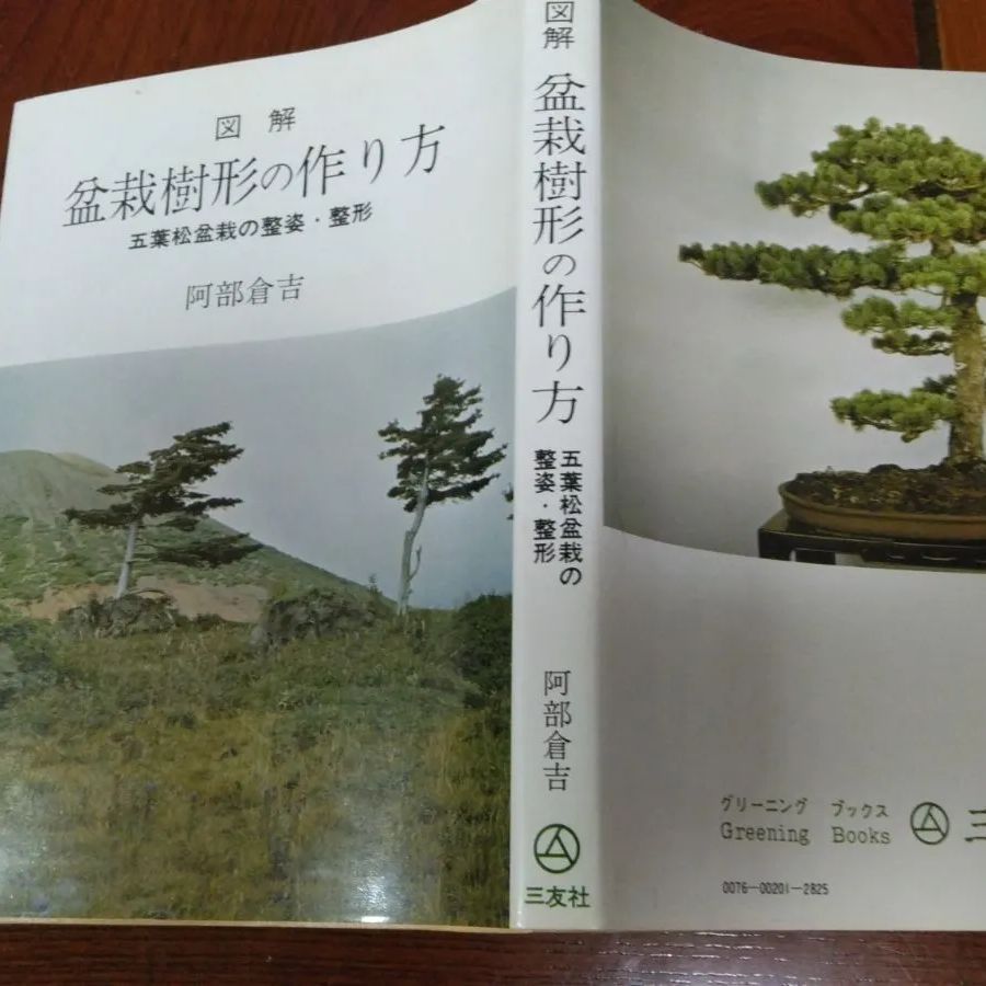 ⚫図解盆栽樹形の作り方 五葉松盆栽の整姿・整形 ☆阿部倉吉/貴重な墨 