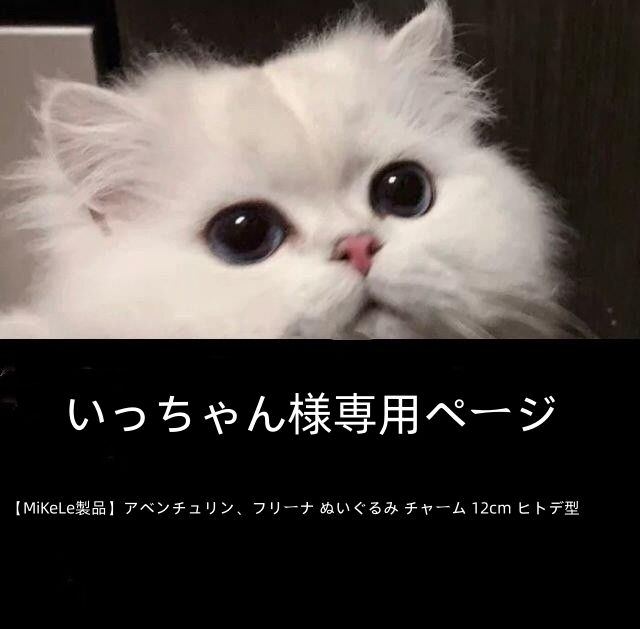 サッちゃん様専用ページでございますm(__)m 【公式通販】