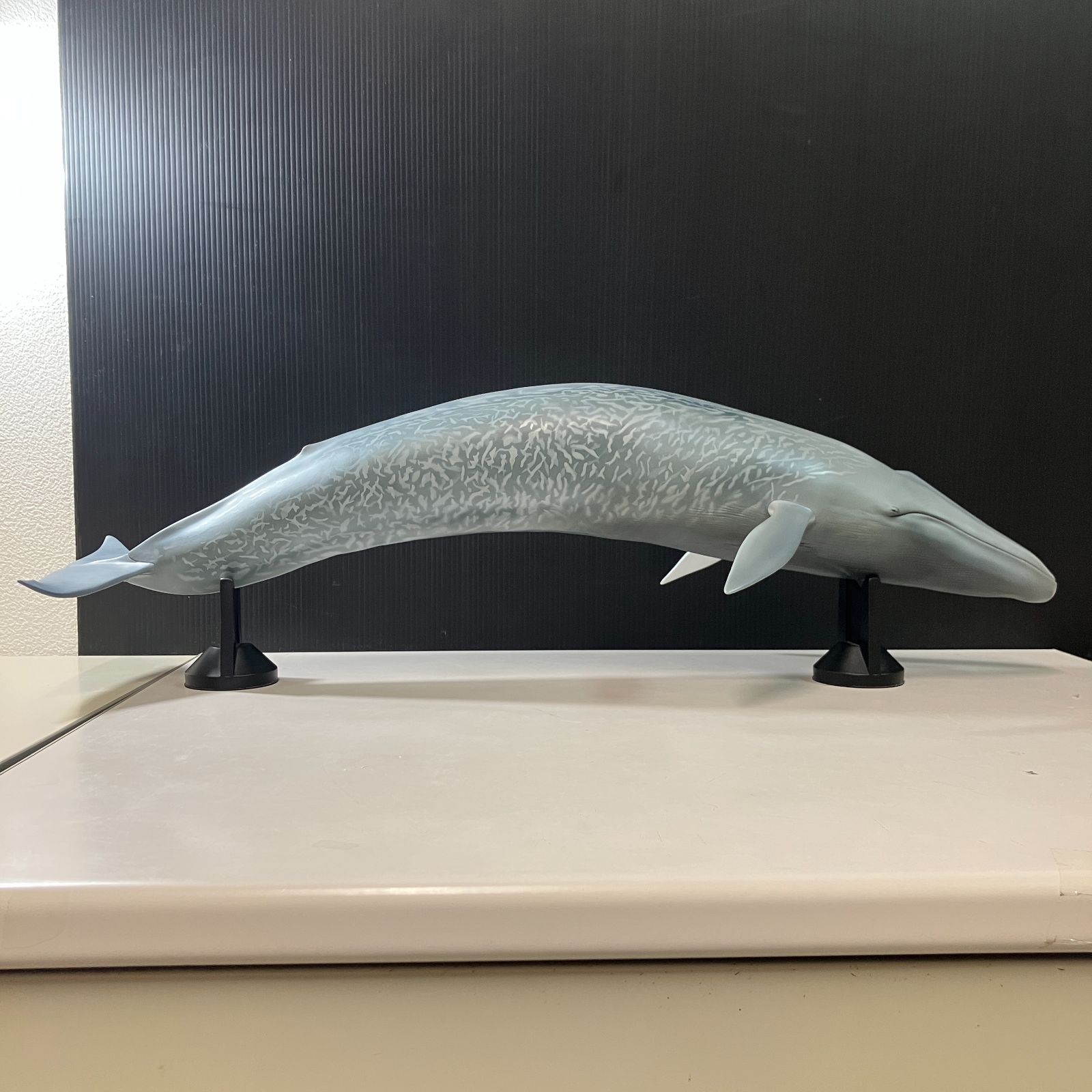 シロナガスクジラ 超ビッグフィギュア ◇ メガソフビアドバンス Yahoo