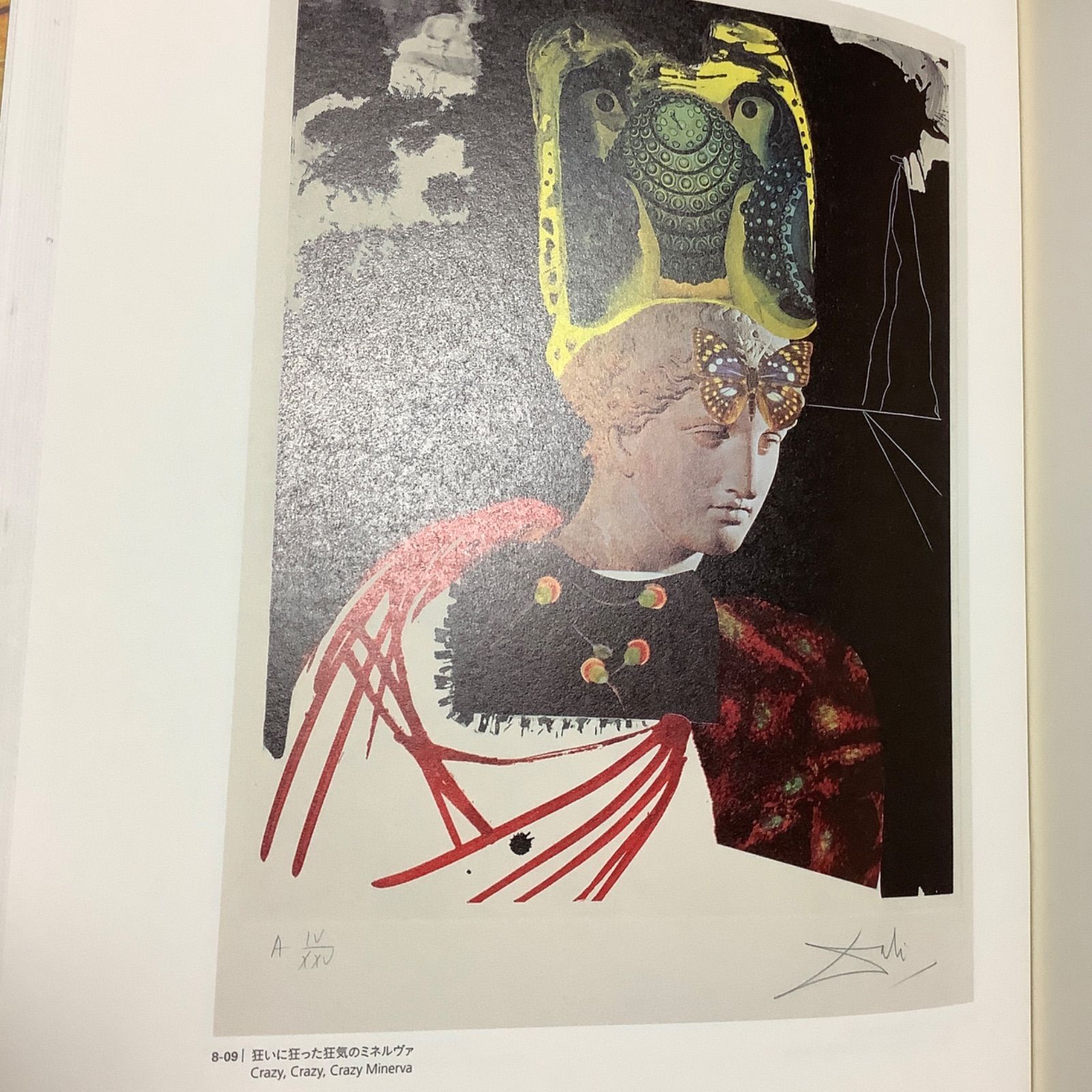 ダリ 版画展 会場限定販売 公式図録 シュルレアリスム《柔らかい