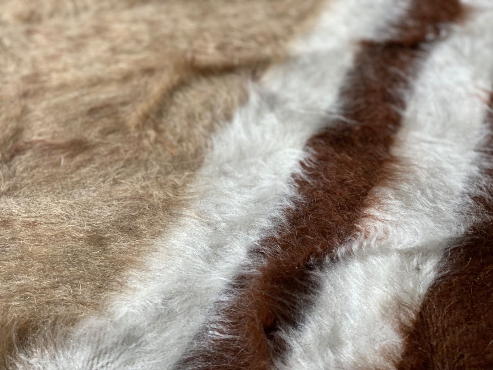 是非手に入れてください