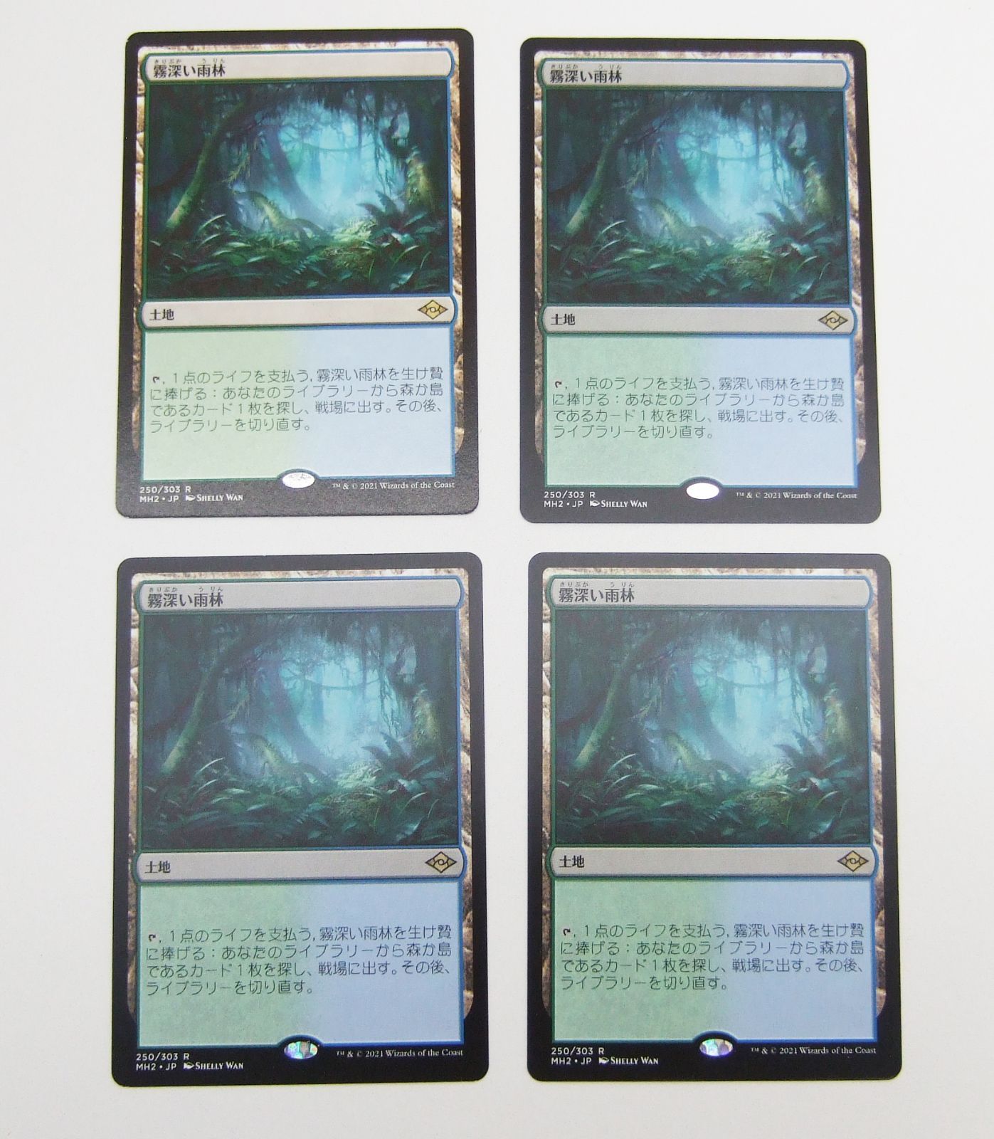 MTG 霧深い雨林 日本語 4枚セット プレイ用 - メルカリ