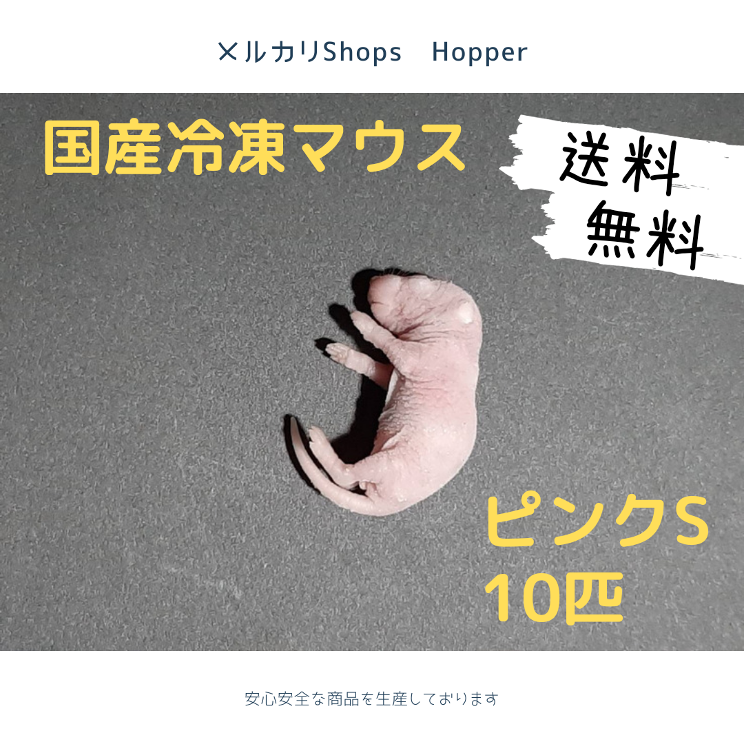 公式の店舗 新品、未使用 国産 冷凍マウス ピンクS 10匹 ペットフード