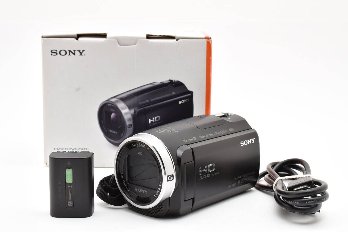 上品 ソニー SONY HDR-CX675 元 き W1015＃3324