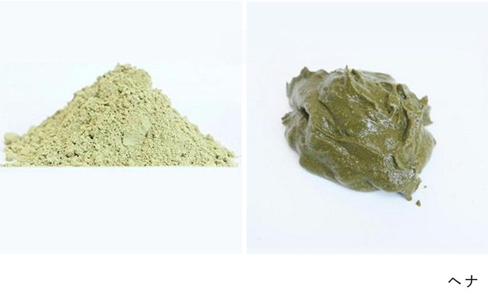 ヒルコス ヘナ ヘンナカミ1000g ヘンナカミ1000g×2 ヘナ 無添加