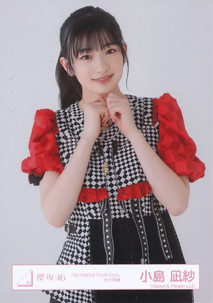 櫻坂46 生写真　小島凪紗　2024年クリスマスサンタ衣装　直筆　サイン 櫻坂46 2024年 クリスマスサンタ衣装 小島凪紗 セミコンプ