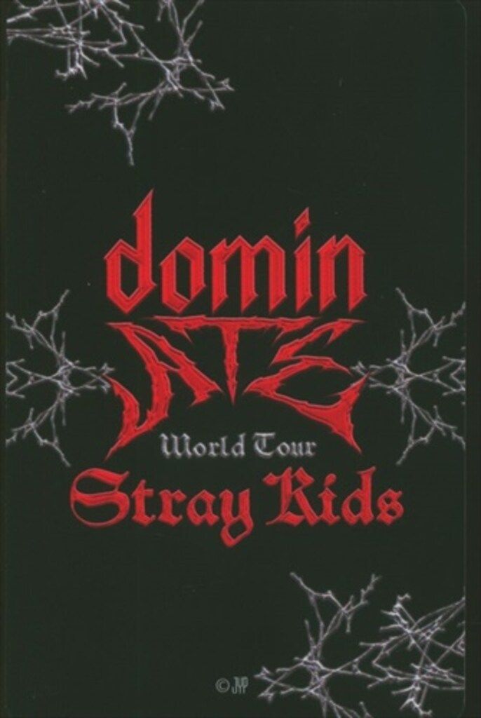 straykids dominATE アプグレ 銀テフル1枚 StrayKids dominATE アプグレグッズ6点 エコパ5/17