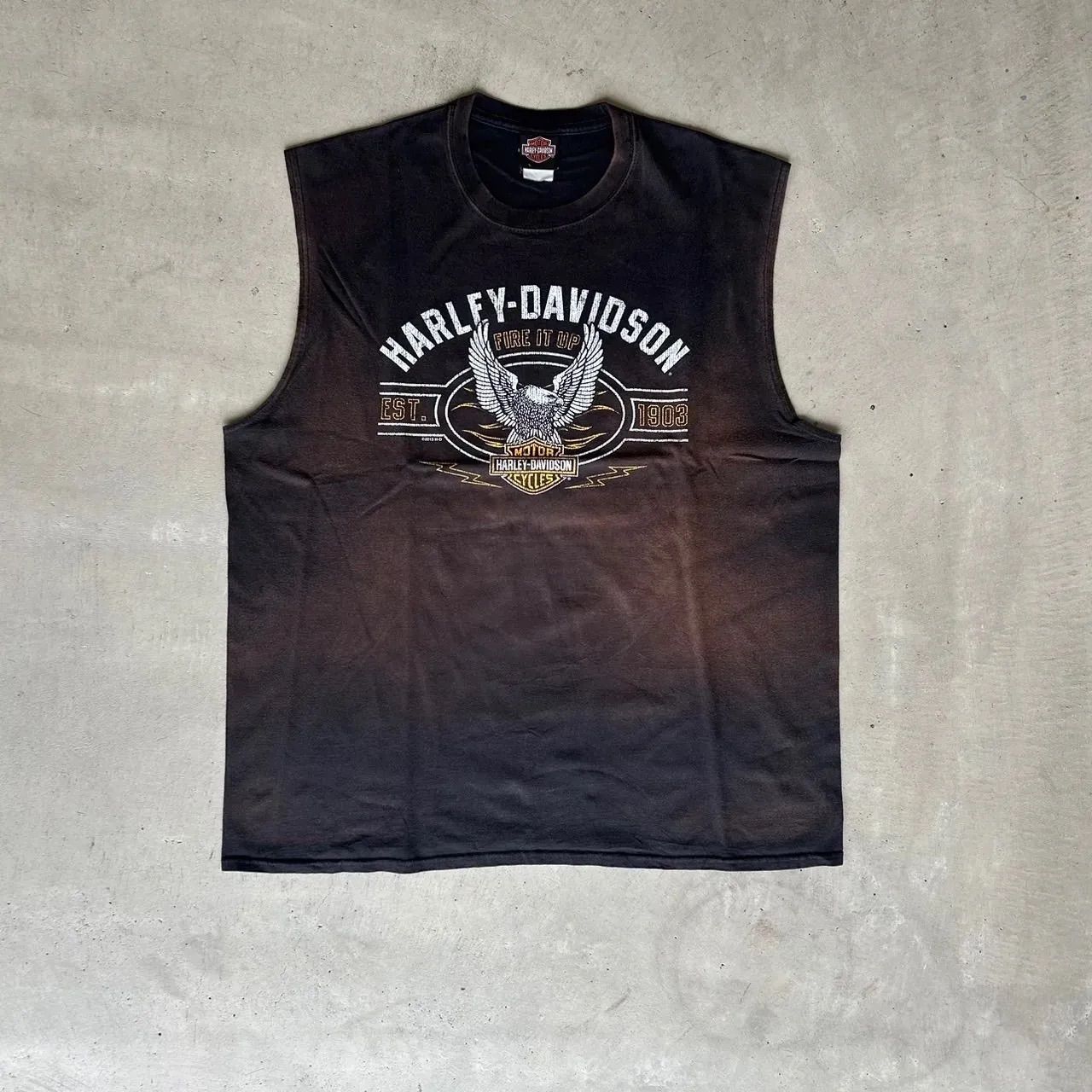 サンフェード Harley Davidson ハーレーダビッドソン イーグル 