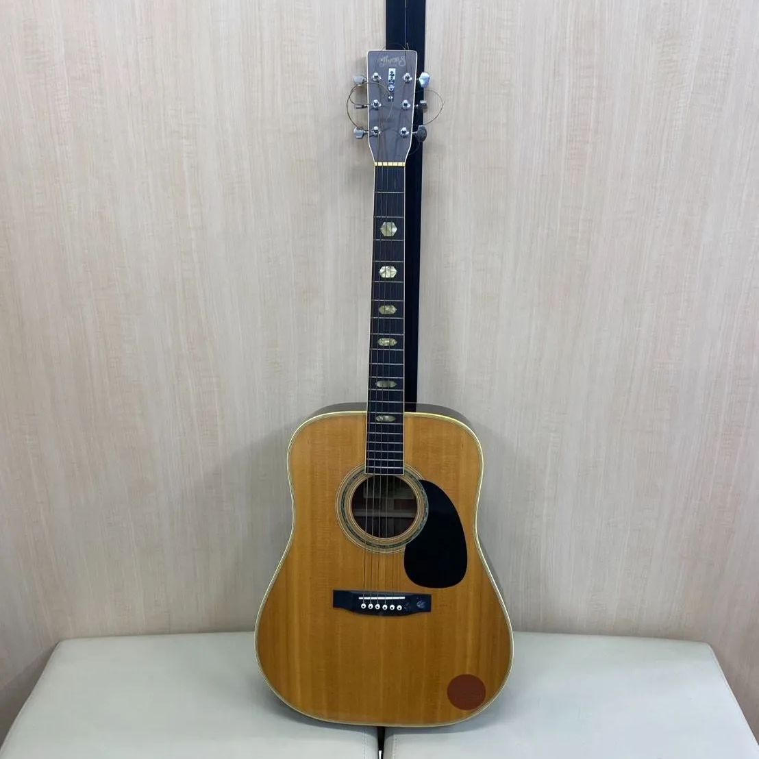 ケース付き ThreeS W-200 アコースティックギター 鈴木バイオリン 国産ギター guitar music 音楽 練習用 弦楽器 ケース付 入門 クラシックギター バンド 器材 ウッド 中級者 上級者 弾き語り 歌 路上ライブ 軽音