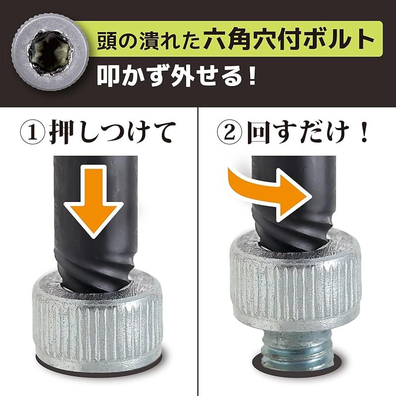 掛軸☆佐久間蒼穹☆「東照神君遺訓」半切 模写】【掛軸】東照公御遺訓