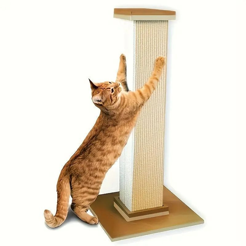 猫用爪